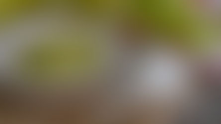 Green powder on a plate and coarse salt on a woven mat, with fresh celery and a striped cloth in the background. Rustic kitchen setting.