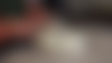 Hands scooping mesophilic starter from a jar on a granite countertop, with two closed jars nearby in a kitchen setting.