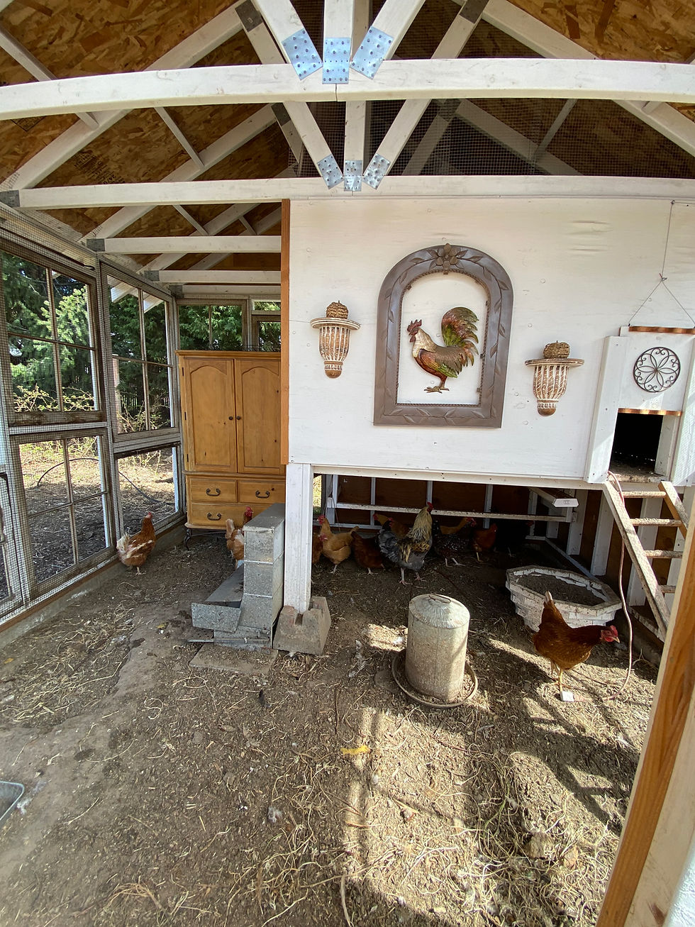 Decorative chicken coop interior with rooster wall art, hanging shelves, a ladder, wooden cabinet, and an open nesting box.
