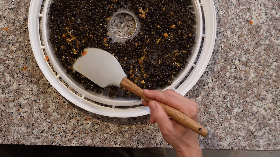 Hand using a spatula to spread black seeds on a round white mesh tray over a speckled countertop, creating a focused and detailed scene.