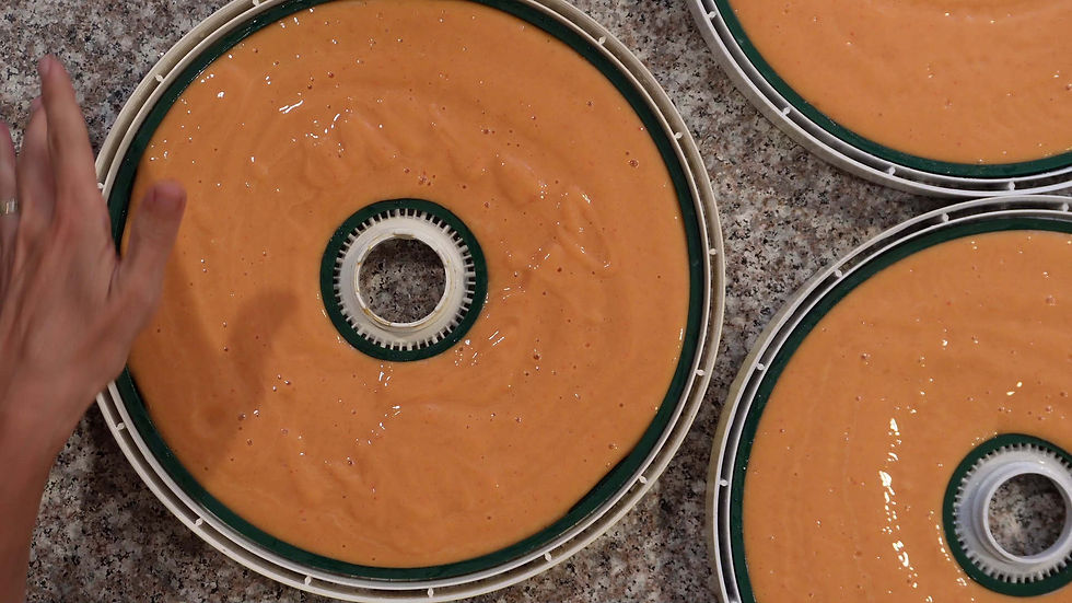 Hand smoothing orange batter on dehydrator trays on a speckled countertop. Circular pattern, kitchen setting, focused preparation.