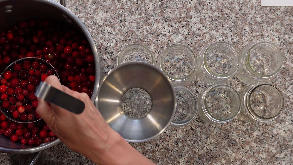 Hand ladling red cranberries from a pot into a funnel over empty jars on a speckled countertop, preparing for canning.