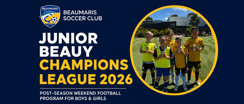 Beauy Champions League Banner.png