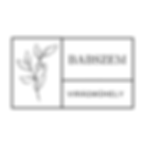 babszem_viragmuhely_logo.webp