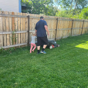 Privacy fence with metal posts in Colorado Springs