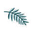 favicon-01_edited.png