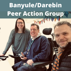 Banyule Darebin Peer Action Group