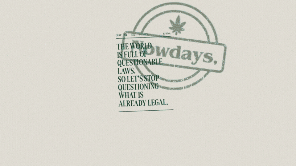 Nowdays - Questionable Laws.gif