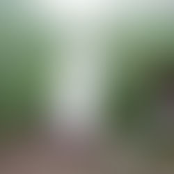 Catholic Sisters are bringing hope for the future through the dignity of work.