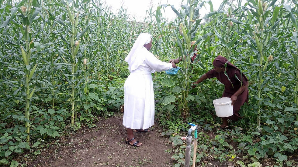Catholic Sisters are bringing hope for the future through the dignity of work.