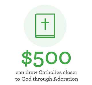 Your loving offering today will grace Catholics around the world with the chance to transform their souls through Eucharistic Adoration. You’ll help purify hearts and unite the global Church.God bless you for your devotion to the Faith!