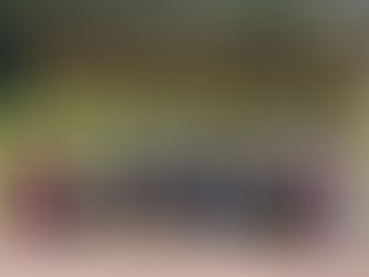 El regreso a mi Corazón Misionero