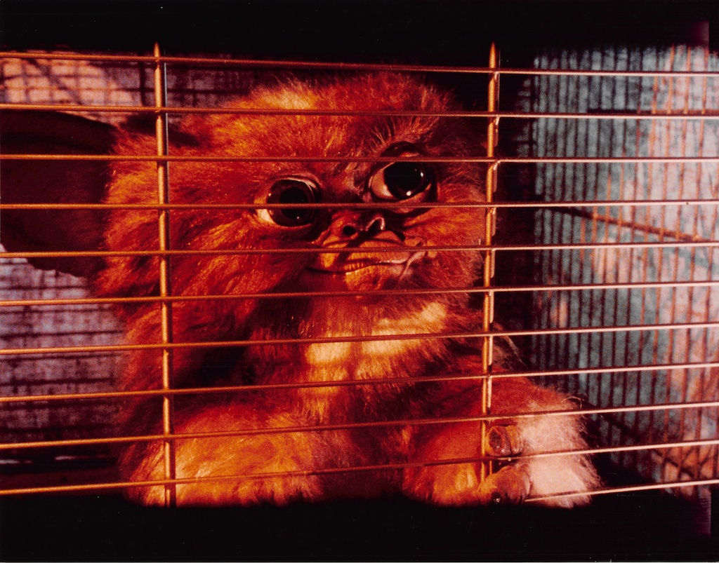 8 X 10 Color Portrait