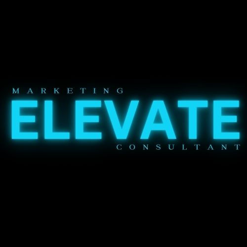 Elevate Marketing Consultant business logo