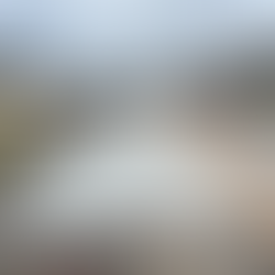 Corpus Christi Regional Transportation Authority (CCRTA)