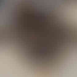 D&J Utility Services crew installing drainage pipes on Armstrong Avenue in Kingsville.