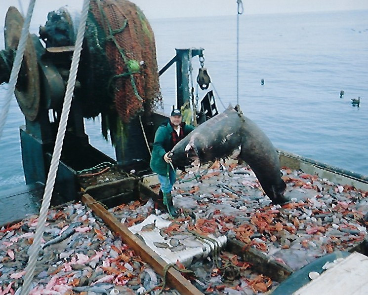 John with a load of fish on his boat
