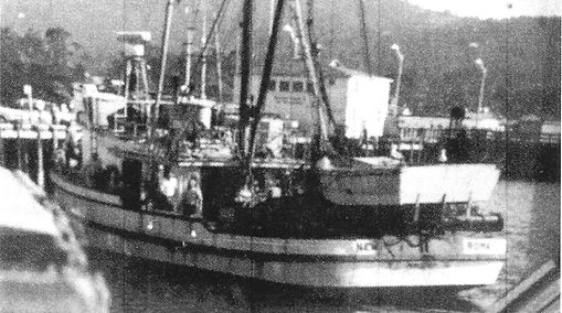 New Roma Heading into Wharf II.jpg