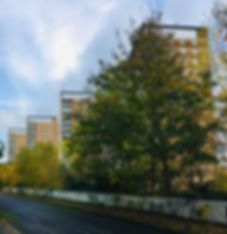 IMG_1492.jpeg