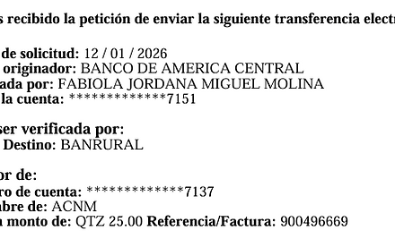 Ejemplo Boleta.jpg