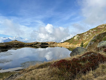 Bild10.JPG