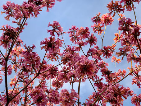 HOLDING ON TO THE IDEA OF A FRIENDSHIP