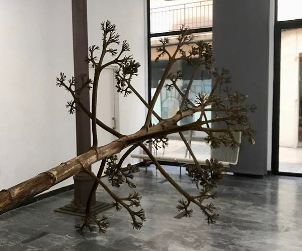 WhatsApp Image 2021-04-28 at 13.02.06(3)