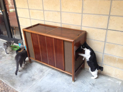DIY Mid Century Modern...Cat Litter Box?