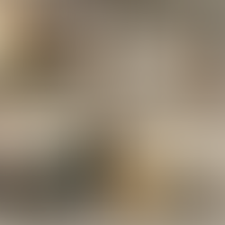 Mid-Century Stores in Kalamazoo, Michigan