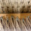 Thumbnail: Rosewood Moller Dining chairs