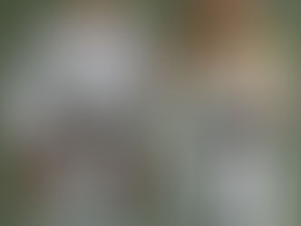 Erfolge bei der Landesmeisterschaft 2017