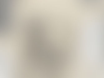 מדריך לקיימות יצירתית