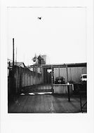 pola 20.jpg