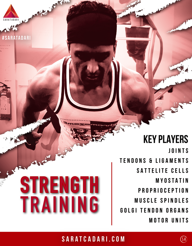 STRENGTH TRAINING – KEY PLAYERS