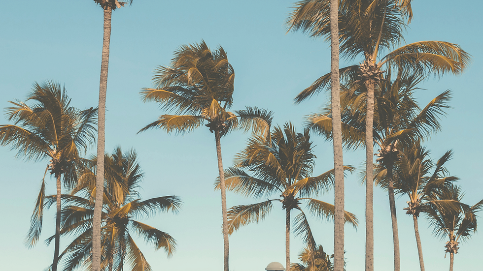 banner (1).png