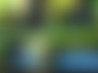 M3Dでの初出力