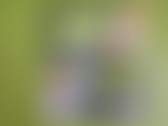 ギア特集の監修
