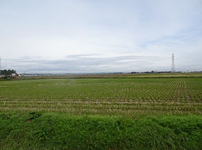yamagata3.jpg