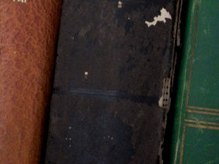 Actualització de la web