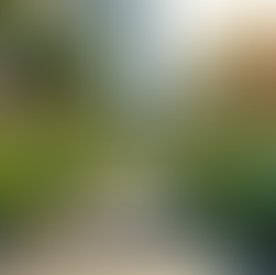 The Importance of Sustainable Living in Today's World