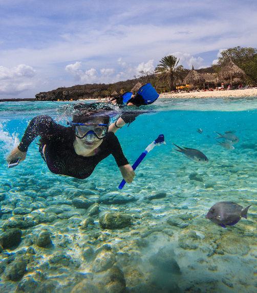 Diving and Snorkeling in Curacao