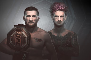 UFC 316: Post-Fight Matchmaking