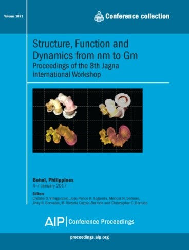 8th Jagna International Workshop Proceeding