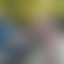 First buck of the season!