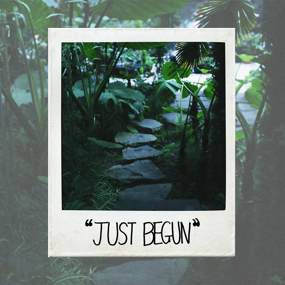 Comeback JustB