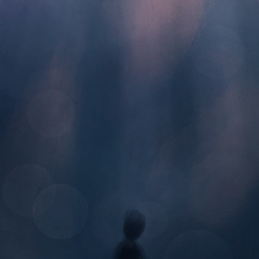 IN LIGHT