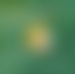 Navigating the Subscription Economy: How Mid-Sized Professional Services Firms Can Adapt