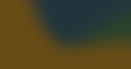 dark yellow.jpg