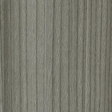 Lustrous Elm