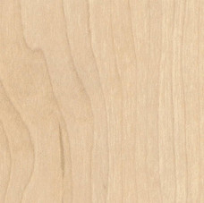 Rock Maple